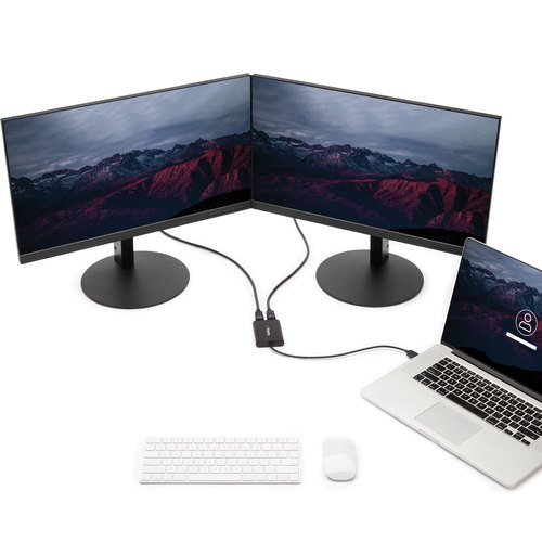 StarTech.com USB-naar-Dual DisplayPort-adapter - 4K 60Hz - USB 3.0 (5 Gbps)