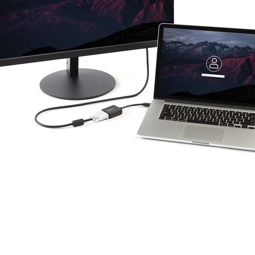 StarTech.com Mini DisplayPort naar DVI Video Adapter Converter