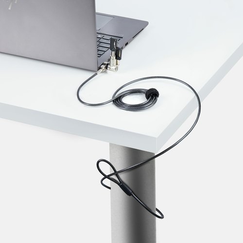 StarTech.com 25-Pack Universeel Laptop Kabelslot 2m, Security Kabel met Gedeelde Sleutel, Compatibel met Noble Wedge&reg;/Nano/K-Slot, Antidiefstal Snijbestendige Kabel
