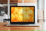 3M BP133W1E schermfilter 33,8 cm (13.3") Laptop Randloze privacyfilter voor schermen