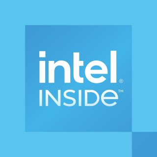 CPU/Intel Prcssr300 3.90GHz LGA1700 Tray