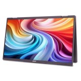 Acer PD163Qbmiuux computer monitor 39,6 cm (15.6") 1920 x 1080 Pixels Double Full HD LED Grijs